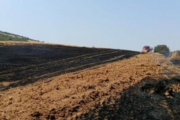 &Ccedil;anakkale'de tarım arazisinde yangın &ccedil;ıktı! 1 hektar alan k&uuml;l oldu