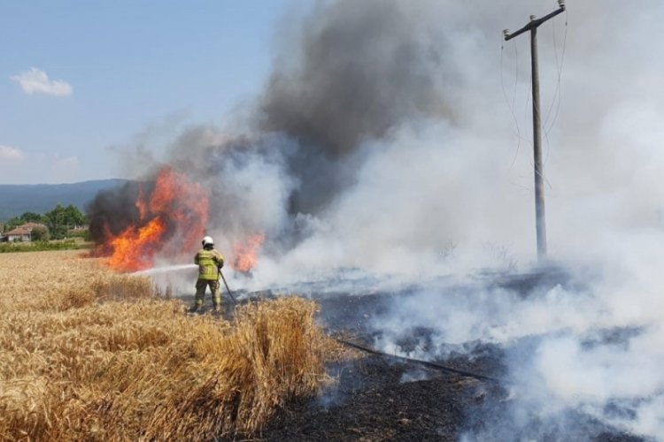 Balıkesir'de 75 d&ouml;n&uuml;m buğday tarlası yandı