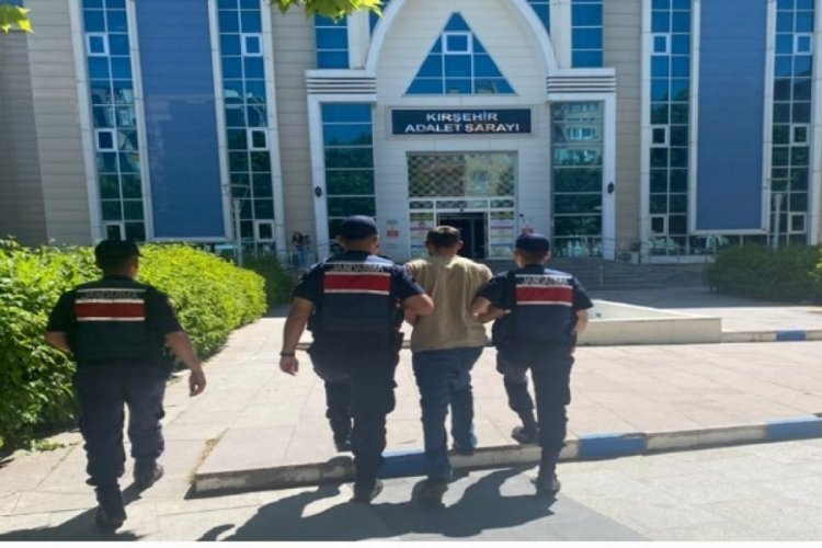 Kırşehir'de tavuk hırsızı jandarmadan ka&ccedil;amadı