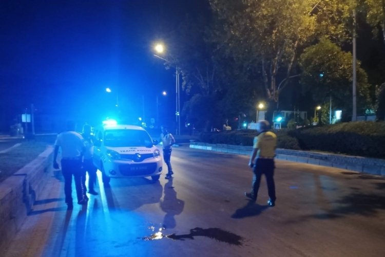 Aydın'da ref&uuml;je &ccedil;arpan s&uuml;r&uuml;c&uuml; yaralandı