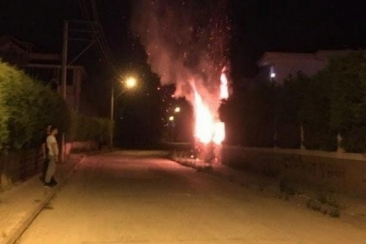 Bursa'da ağa&ccedil;ların ateşe verildiği iddiası &uuml;zerine inceleme başlatıldı