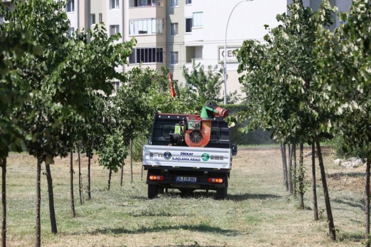 Bursa'da sinekle m&uuml;cadele devam ediyor