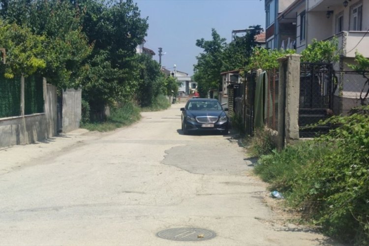 Bel&ccedil;ika'dan ailesiyle tatil i&ccedil;in Bursa'ya gelen &ccedil;ocuğa sokak k&ouml;peği saldırdı!