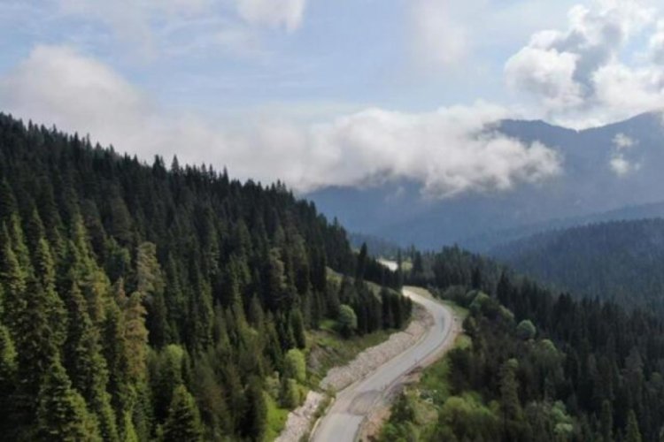 Kastamonu'da ormanlara giriş ve &ccedil;ıkışlar yasaklandı