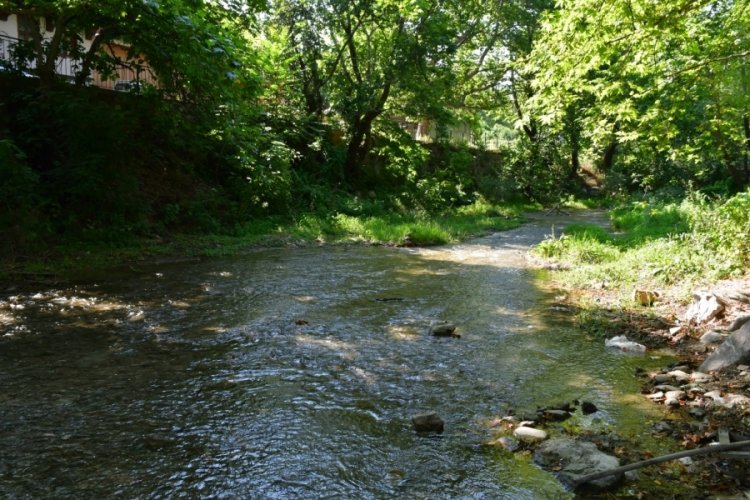 BU&Uuml;'de T&uuml;rk bilim insanları yeni bir parazit t&uuml;r&uuml; keşfetti!