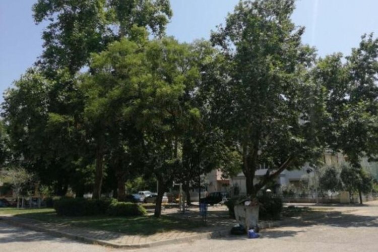 Alacak tartışmasında &ouml;ld&uuml;r&uuml;ld&uuml;