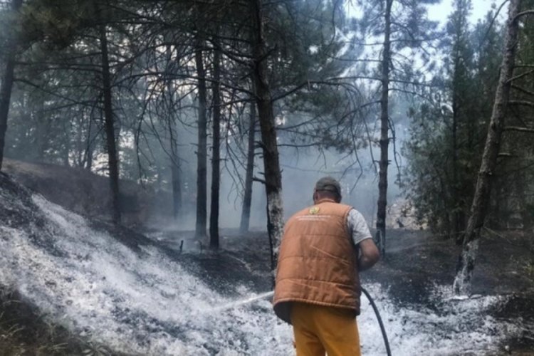 Eskişehir'de &ccedil;ıkan orman yangını s&ouml;nd&uuml;r&uuml;ld&uuml;