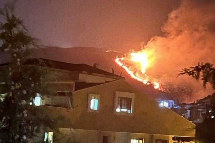 İzmir'de makilik alanda yangın