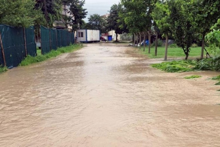 Sakarya'da yağışla gelen su baskınında 20 bin civciv &ouml;ld&uuml;