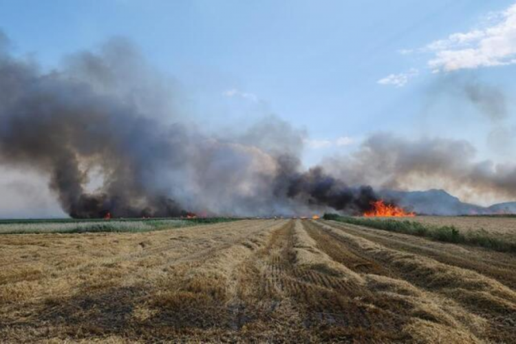 Burdur'da 800 dekar ekili arazi yanarak k&uuml;le d&ouml;nd&uuml;
