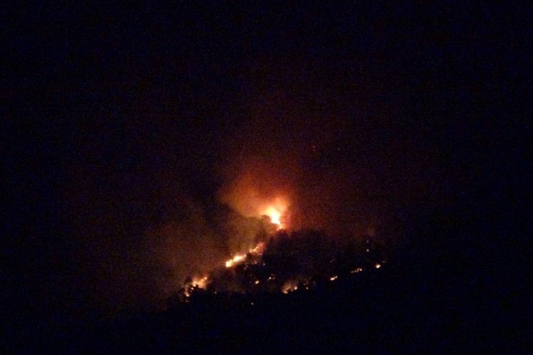 Hatay'da orman yangını!