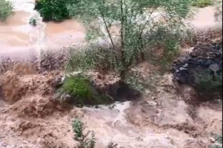 Artvin'de sağanak sonrası dereler taştı