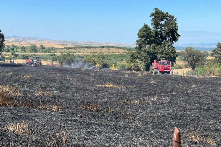 Balıkesir G&ouml;nen'de arazi yangınında 20 d&ouml;n&uuml;m k&uuml;l oldu