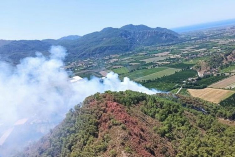 Muğla Ortaca'da orman yangını!