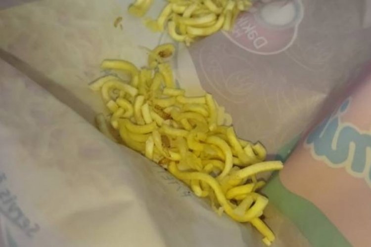 Makarna t&uuml;r&uuml; noodleda kurt&ccedil;uk &ccedil;ıktı!