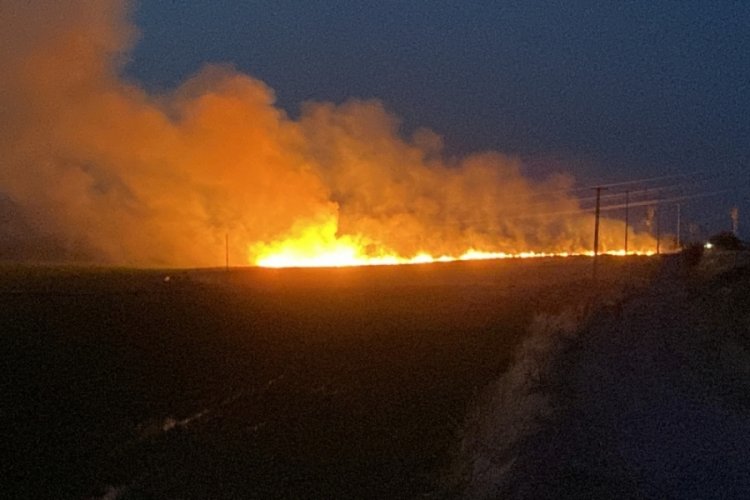 Edirne'de buğday tarlası alev alev yandı