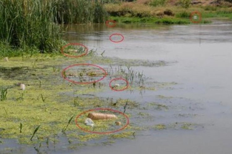 Dicle Nehri'nde b&uuml;y&uuml;k tehlike!