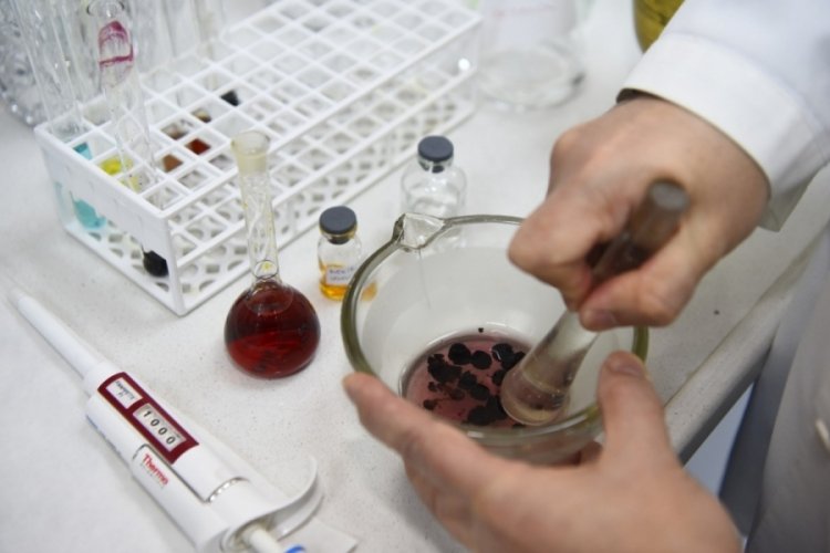 Geleceğin eczacı adaylarının tercihi Anadolu &Uuml;niversitesi