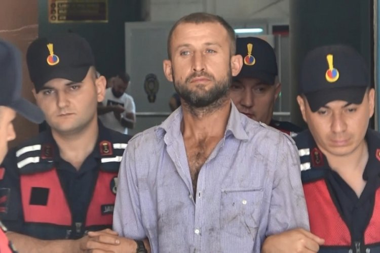 Bursa'da orman yangını &ccedil;ıkaran şahıs tutuklandı!