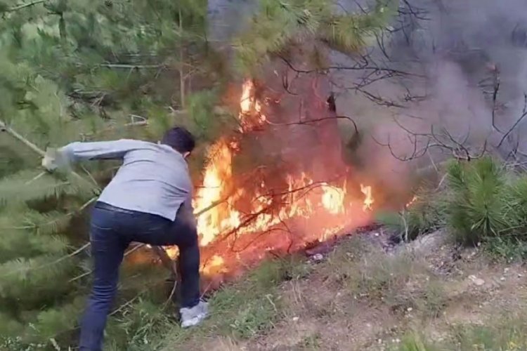 Bolu'da orman yangınları ile m&uuml;cadele &ccedil;er&ccedil;evesinde girişler yasaklandı