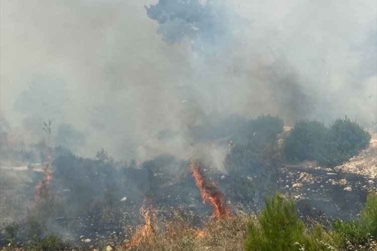 Antalya'da orman yangını!