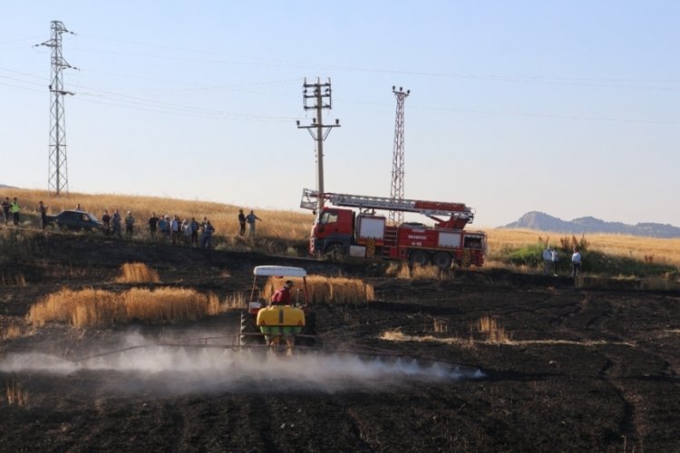 Burdur'da elektrik direğinden sı&ccedil;rayan kıvılcımlar 8 d&ouml;n&uuml;m araziyi k&uuml;l etti