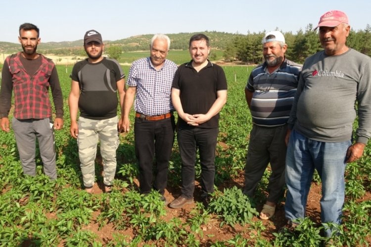 Suya kavuşan k&ouml;yde arazi fiyatları değerlendi, geri d&ouml;n&uuml;şler başladı