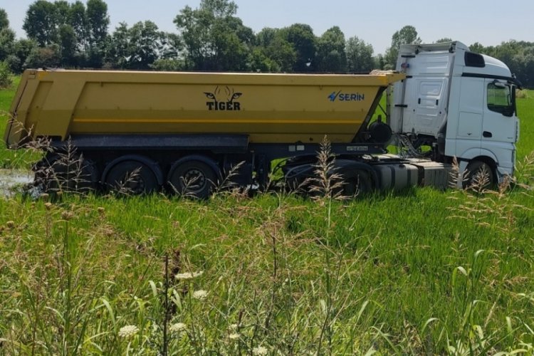 Edirne'de tır &ccedil;eltik tarlasına girdi