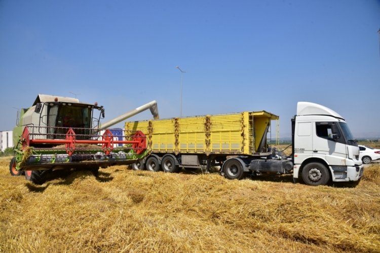 Balıkesir'de arpa hasadı başladı