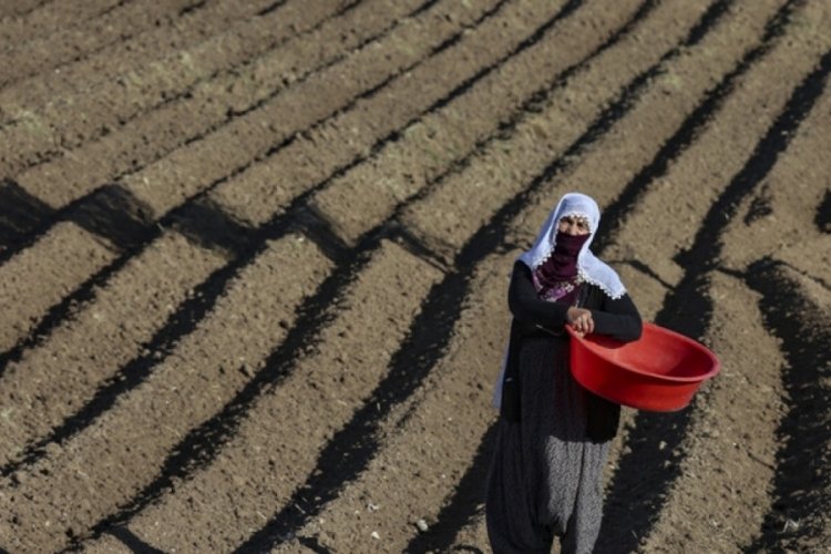 Tarım &uuml;r&uuml;nleri &uuml;retici fiyat endeksi yıllık %57,93 arttı