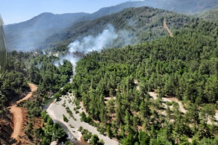 Muğla K&ouml;yceğiz'de orman yangını