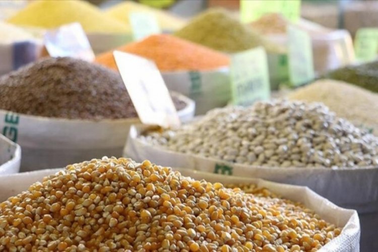 Yılın ilk yarısındaki hububat ihracatı 5 milyar doları aştı