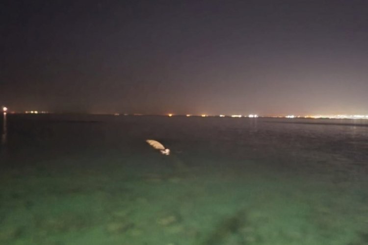 Hatay'da vatandaşlar balina diye sahile gitti: Boru &ccedil;ıktı
