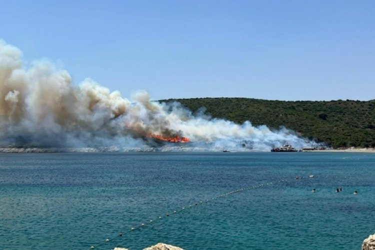 İzmir Urla'da yangın!