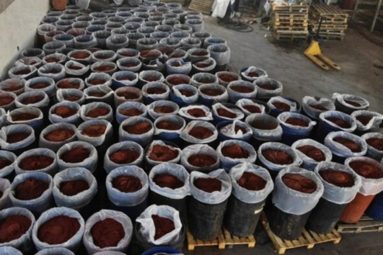 Hatay'da sal&ccedil;a ve domatesler 20 &uuml;lkeye ulaştırılıyor