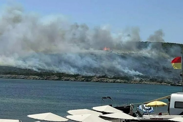 İzmir'deki makilik yangınının &ccedil;ıkış sebebi belli oldu