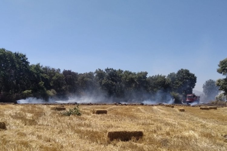 Balıkesir'deki ağıl yangınında &ccedil;ok sayıda hayvan telef oldu