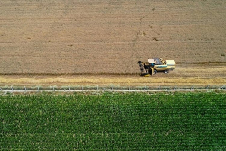 Tarım ihracatı  ilk 6 ayda y&uuml;zde 1,4 arttı