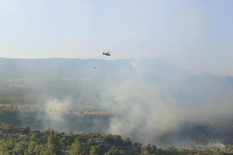 Mersin'deki orman yangını kontrol altına alındı