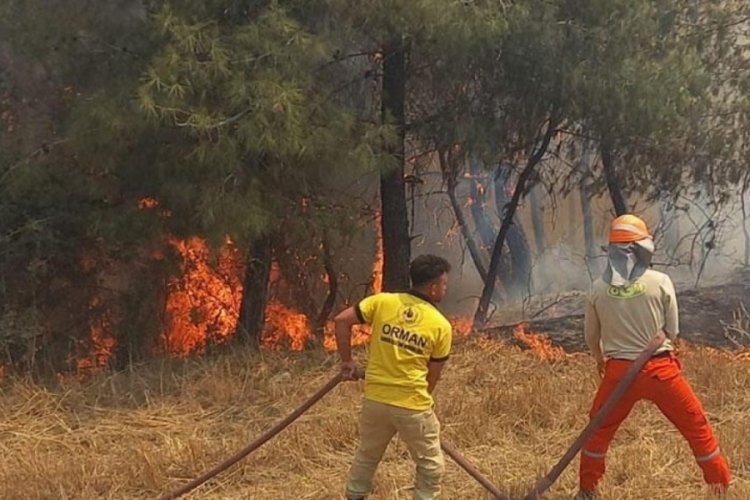 Adana ve Mersin'de yangın! Ekjipler m&uuml;dahaleye başladı