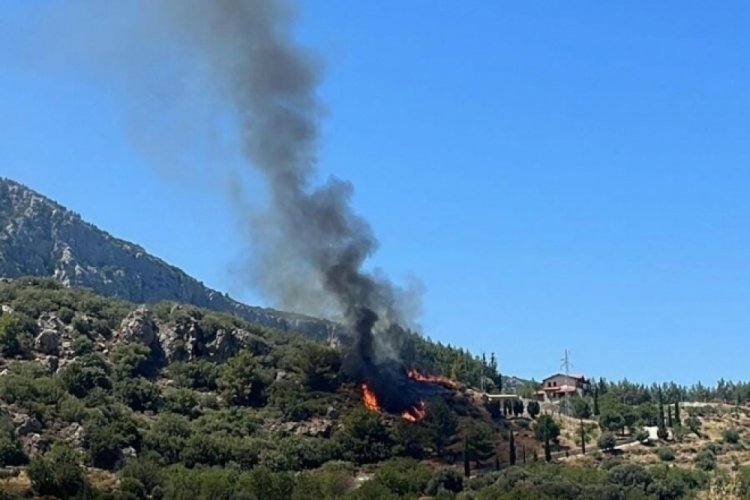 Muğla'da restoranda &ccedil;ıkan yangın ormana sı&ccedil;radı!