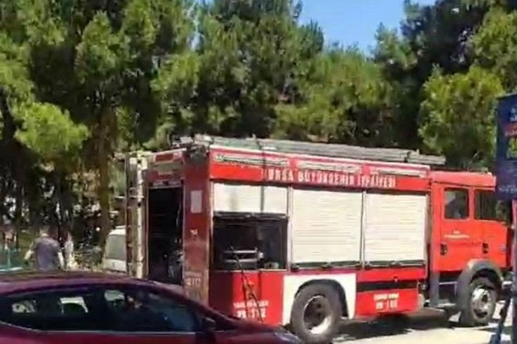 Bursa'da &ccedil;amlık alanda yangın!