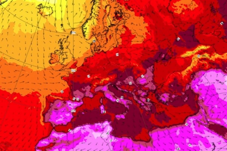 D&uuml;nya Meteoroloji &Ouml;rg&uuml;t&uuml; iklim değişikliğini işaret etti