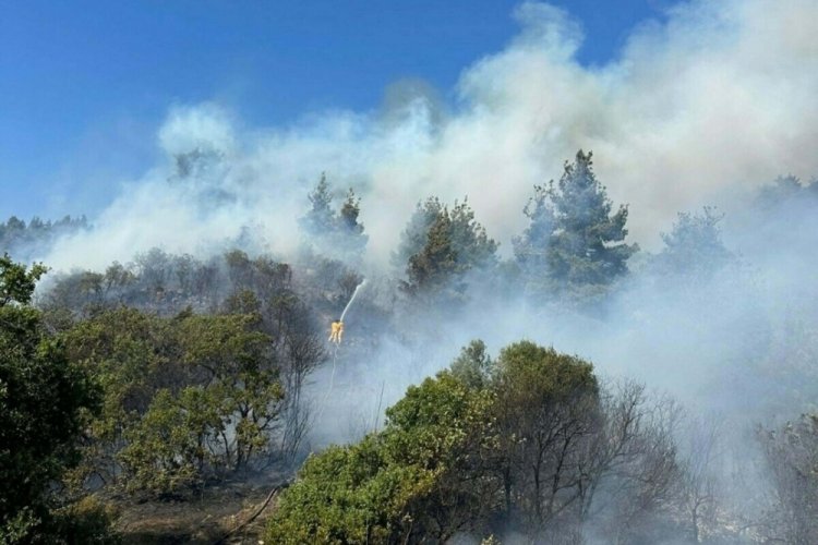 Balıkesir'deki yangında 5 hektar alan k&uuml;l oldu