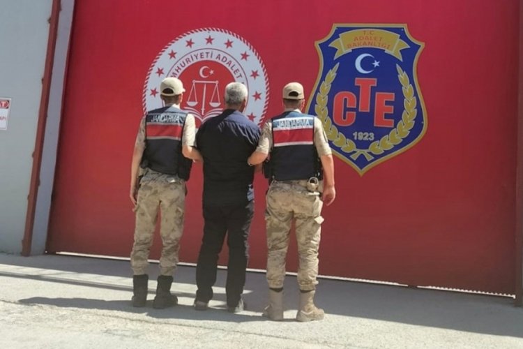 Hatay'da orman yangınına neden olan ş&uuml;pheli tutuklandı