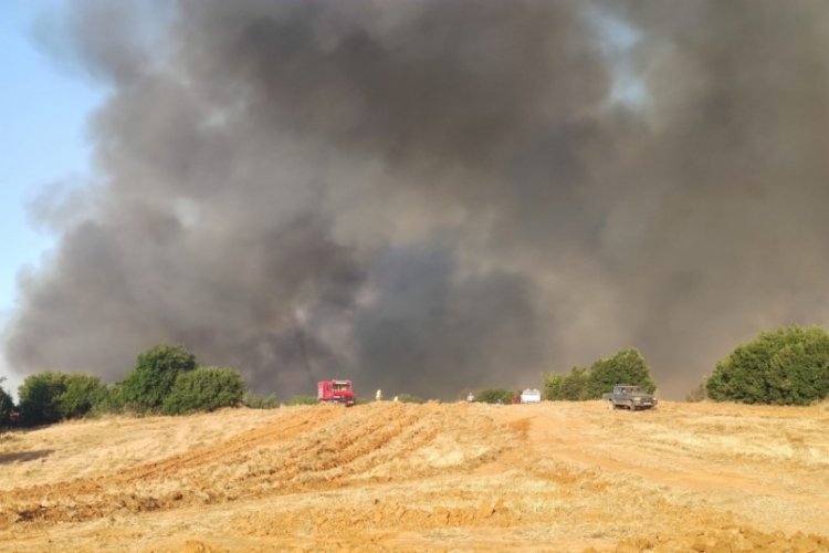 Tekirdağ'daki orman yangınıyla ilişkili 2 kişi g&ouml;zaltına alındı