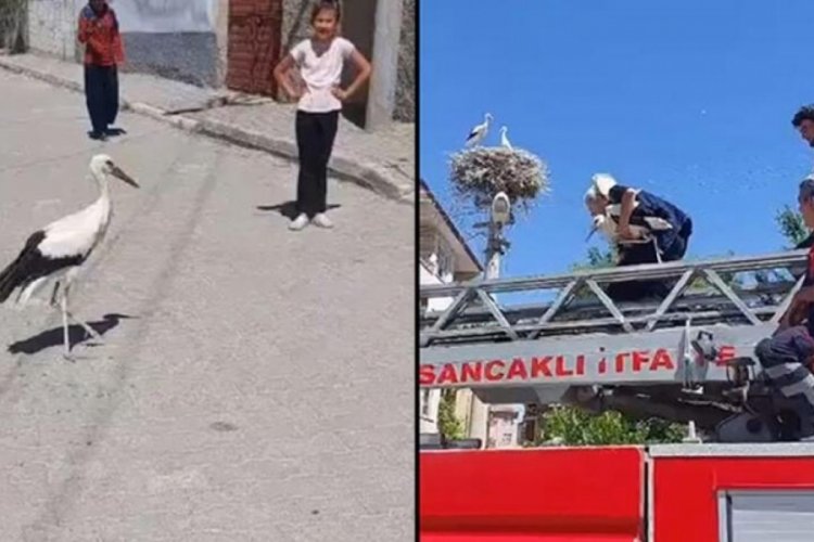 Leylek yuvasına itfaiye aracıyla bırakıldı