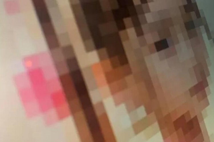 İngiltere'de h&uuml;k&uuml;mete &ccedil;ağrı! &Ccedil;ocuk istismarı g&ouml;r&uuml;nt&uuml;lerine karşı harekete ge&ccedil;ilmeli