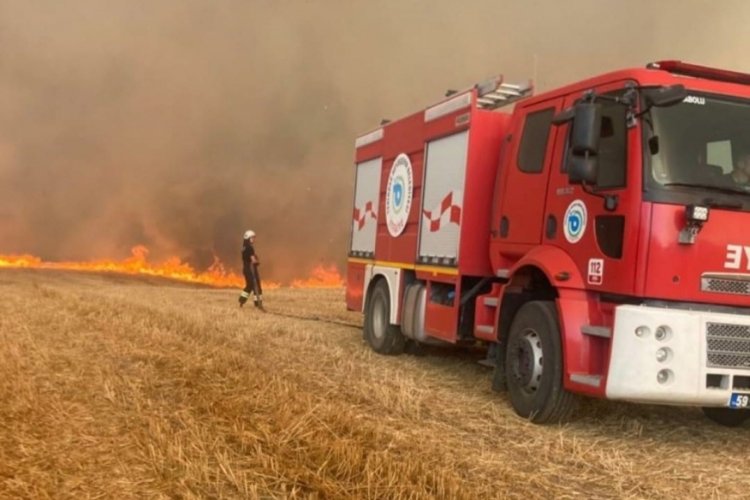 Tekirdağ'da buğday ekili alan yandı