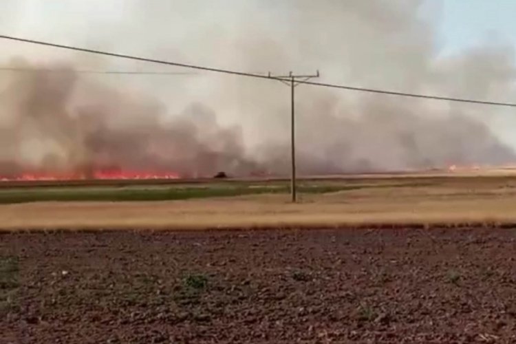 Ankara'da 500 d&ouml;n&uuml;ml&uuml;k tarla k&uuml;le d&ouml;nd&uuml;